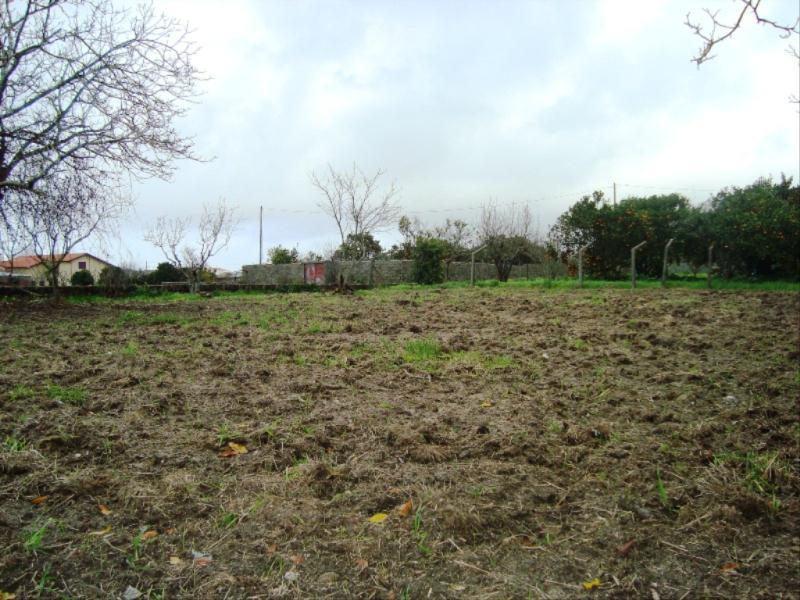Terreno  Figueira da Foz, Lavos - Figueira da Foz - 83345 - 2