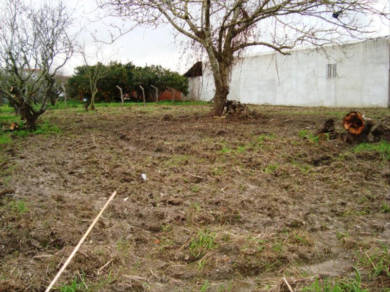 Terreno  Figueira da Foz, Lavos - Figueira da Foz - 83345 - 3
