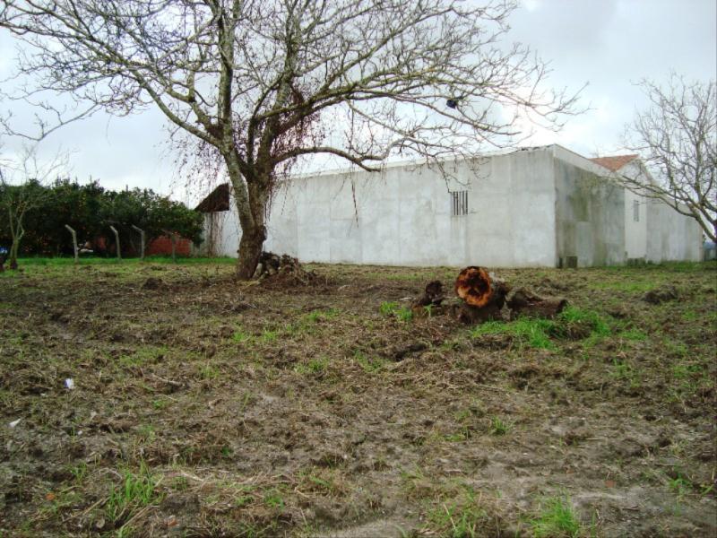Terreno  Figueira da Foz, Lavos - Figueira da Foz - 83345 - 4