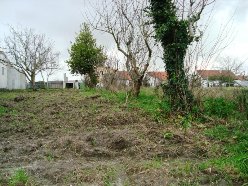 Terreno  Figueira da Foz, Lavos - Figueira da Foz - 83345 - 5