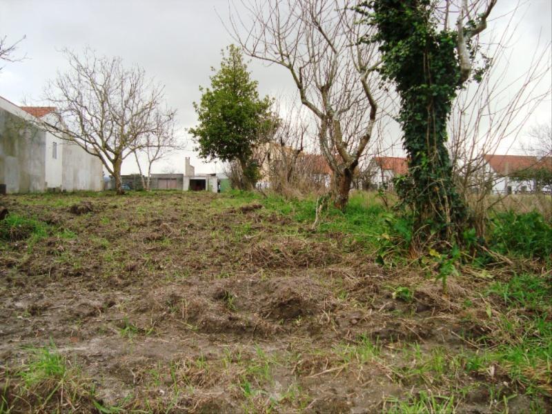 Terreno  Figueira da Foz, Lavos - Figueira da Foz - 83345 - 6