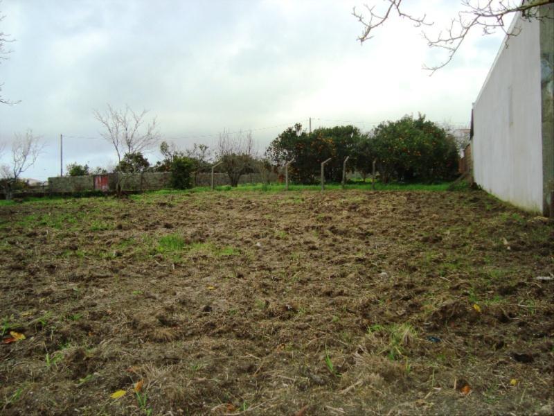 Terreno  Figueira da Foz, Lavos - Figueira da Foz - 83345 - 7