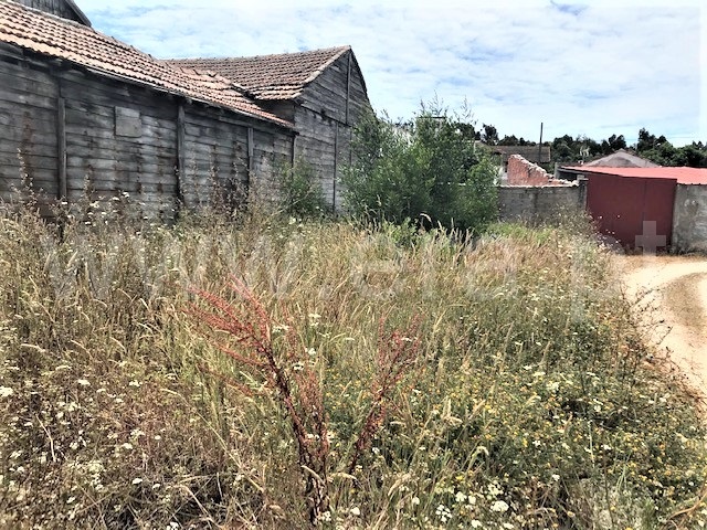 Terreno  Figueira da Foz, Lavos - 876086 - 4