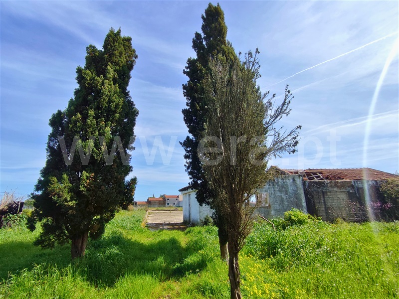 Terreno  Figueira da Foz, Maiorca - 1392063 - 2
