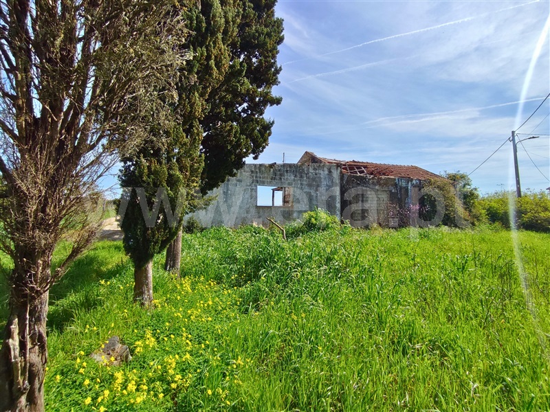 Terreno  Figueira da Foz, Maiorca - 1392063 - 3