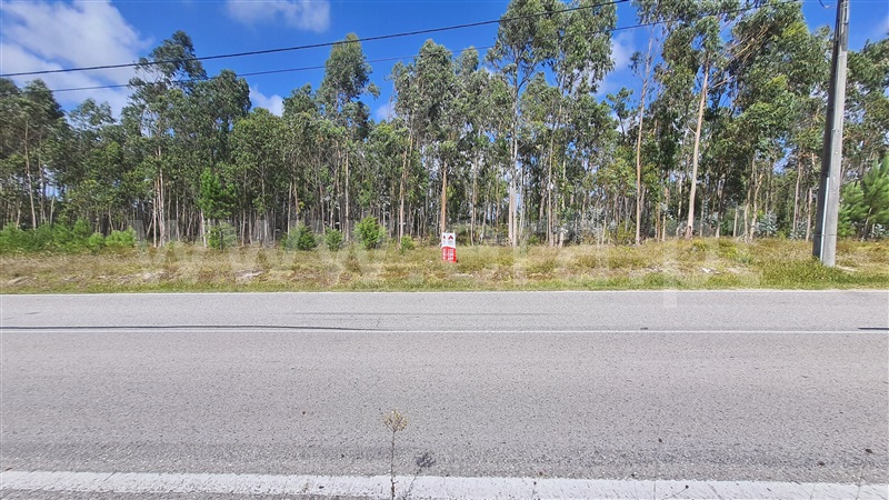 Terreno / Figueira da Foz, Moinhos da Gândara