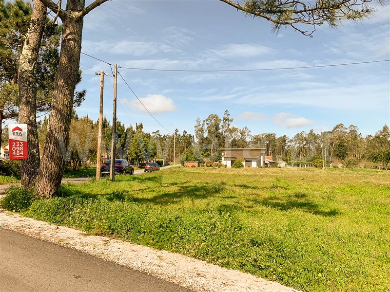 Terreno / Figueira da Foz, Moinhos da Gândara
