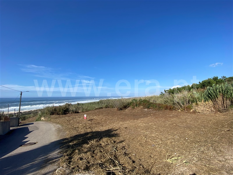 Terreno / Figueira da Foz, Murtinheira