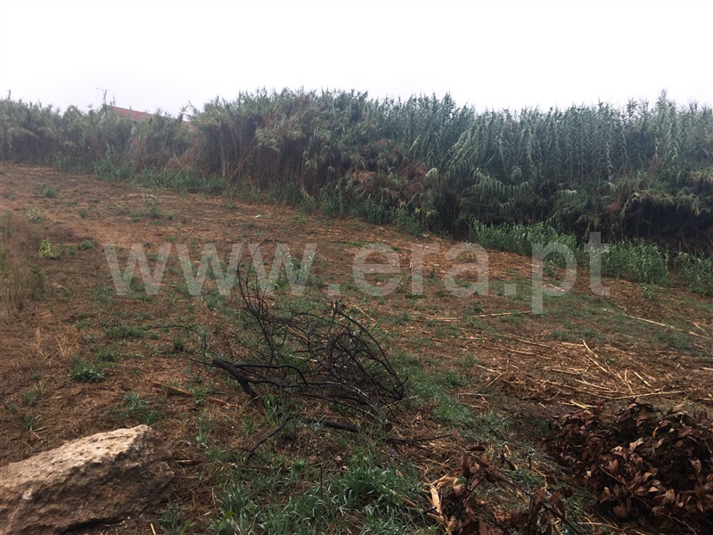 Terreno  Figueira da Foz, Paião, Figueira da Foz - 81941 - 4