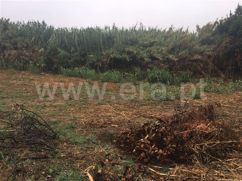 Terreno  Figueira da Foz, Paião, Figueira da Foz - 81941 - 5