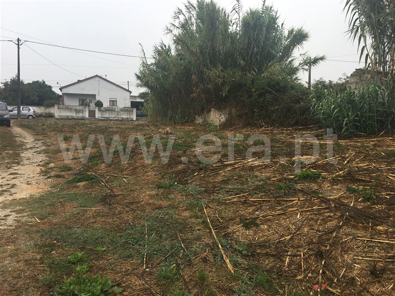 Terreno  Figueira da Foz, Paião, Figueira da Foz - 81941 - 6