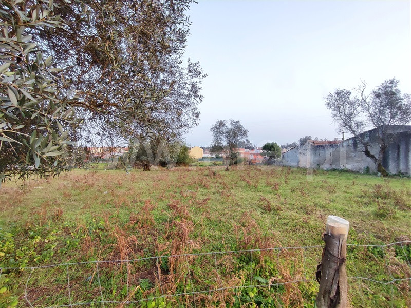 Terreno  Figueira da Foz, Santana - 1294888 - 3