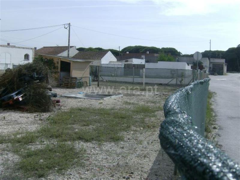 Terreno  Figueira da Foz, São Pedro - Figueira da Foz - 766706 - 7