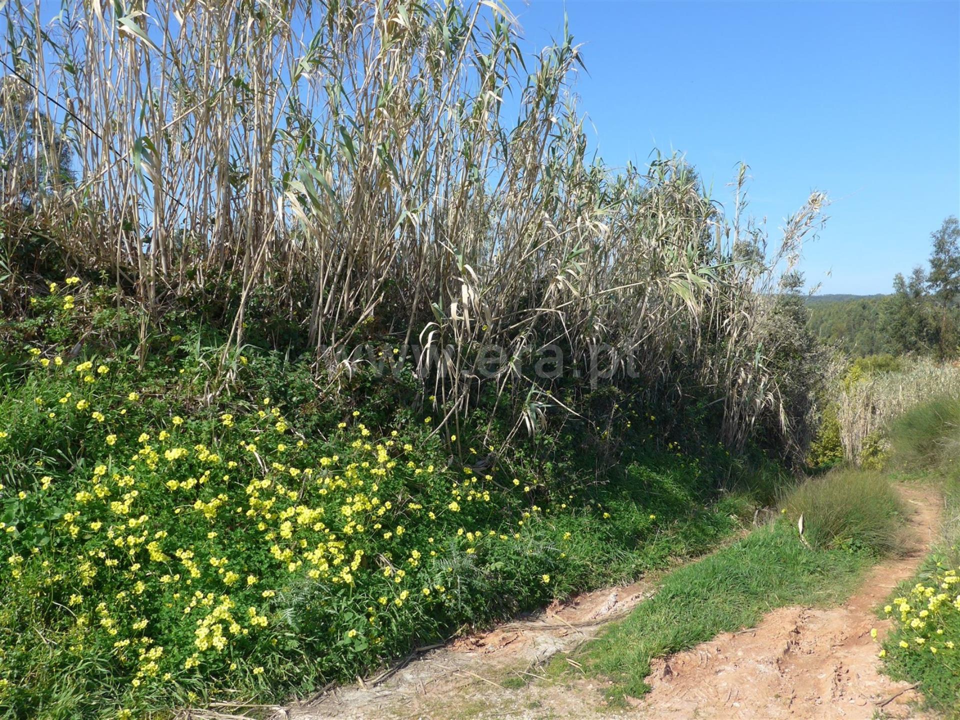 Land for sale in Figueira da Foz, Portugal — €95,000