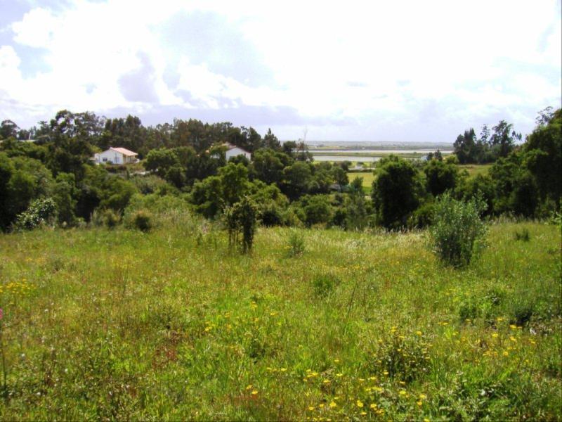 Terreno / Figueira da Foz, Vila Verde - Figueira da Foz