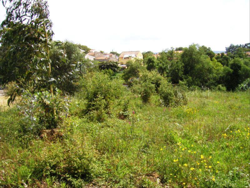 Terreno  Figueira da Foz, Vila Verde - Figueira da Foz - 82090 - 3