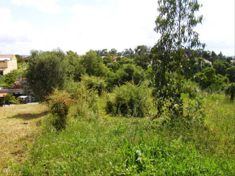 Terreno  Figueira da Foz, Vila Verde - Figueira da Foz - 82090 - 5