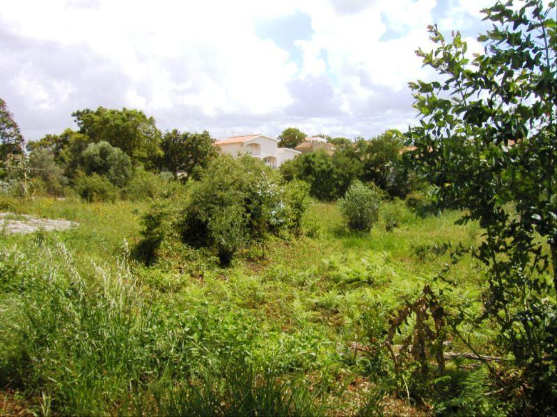 Terreno  Figueira da Foz, Vila Verde - Figueira da Foz - 82090 - 7