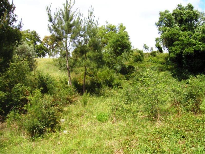Terreno  Figueira da Foz, Vila Verde - Figueira da Foz - 82090 - 8