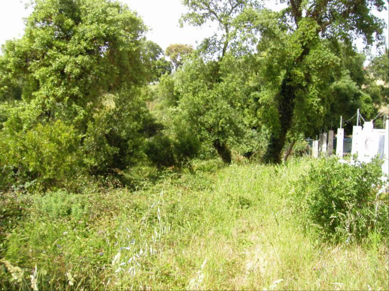 Terreno  Figueira da Foz, Vila Verde - Figueira da Foz - 82090 - 9
