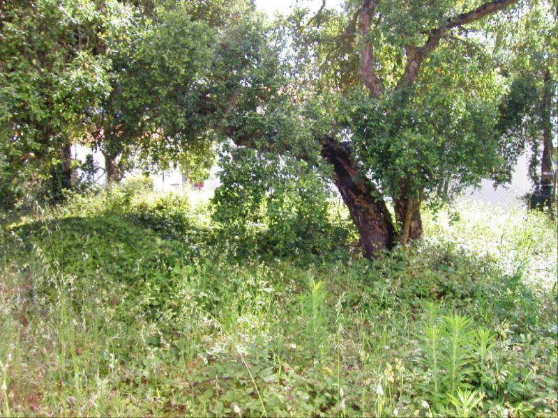 Terreno  Figueira da Foz, Vila Verde - Figueira da Foz - 82090 - 10