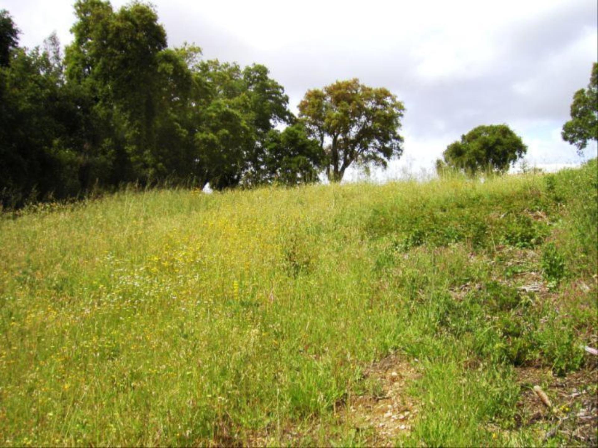 Land for sale in Figueira da Foz, Portugal — €55,000