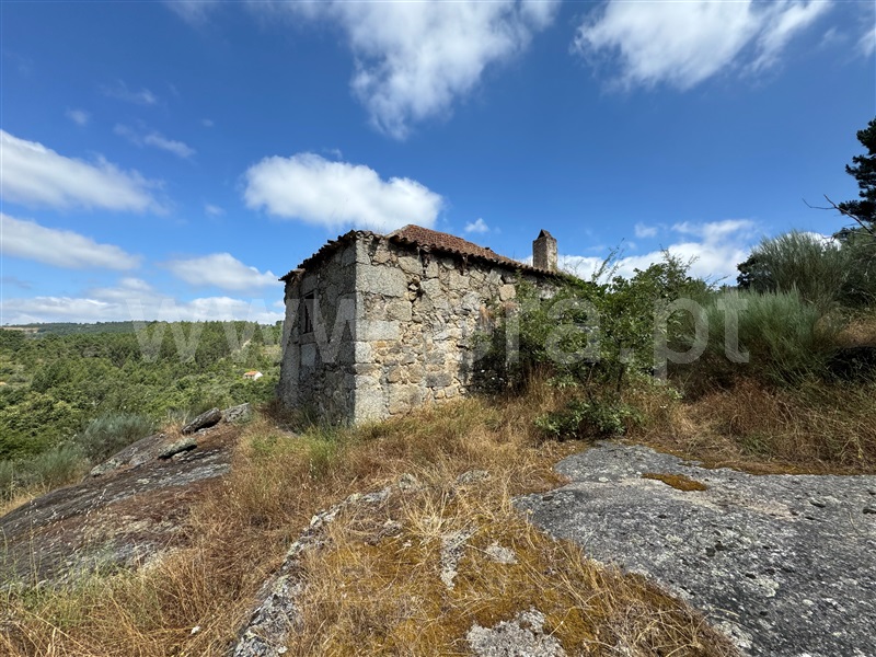 Terreno / Fornos de Algodres, Casal Vasco