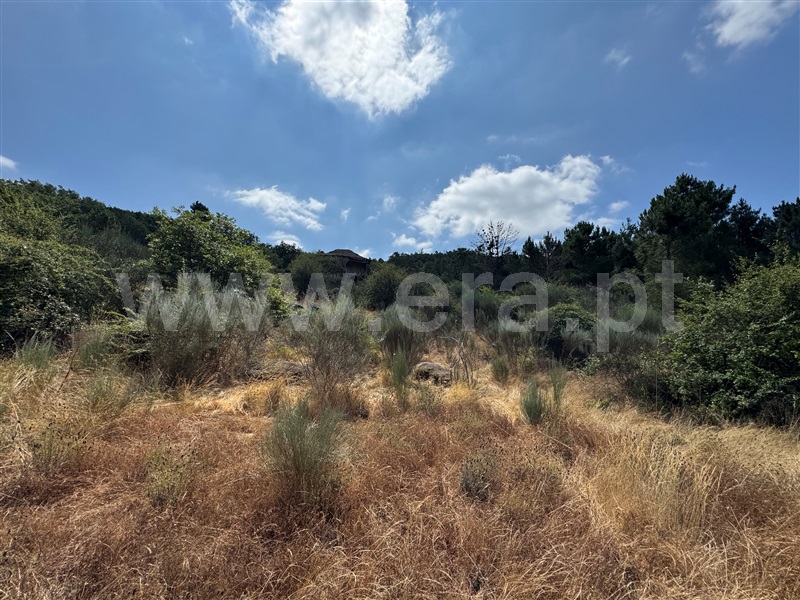 Terreno  Fornos de Algodres, Casal Vasco - 1507704 - 12