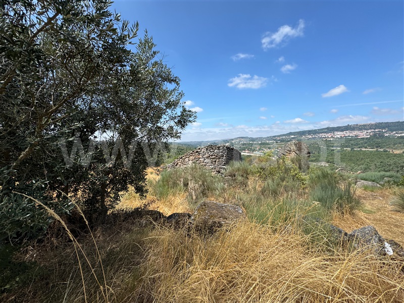 Terreno / Fornos de Algodres, Juncais, Vila Ruiva e Vila Soeiro do Chão