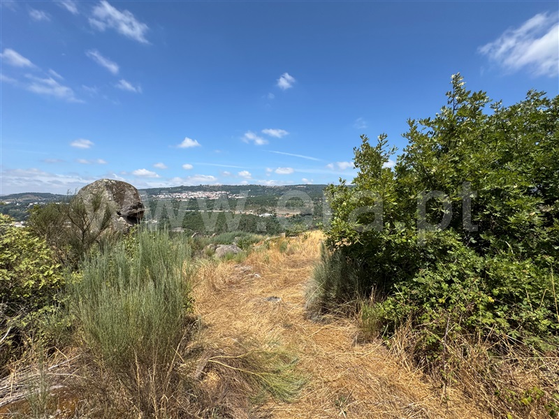 Terreno  Fornos de Algodres, Juncais, Vila Ruiva e Vila Soeiro do Chão - 1507706 - 4