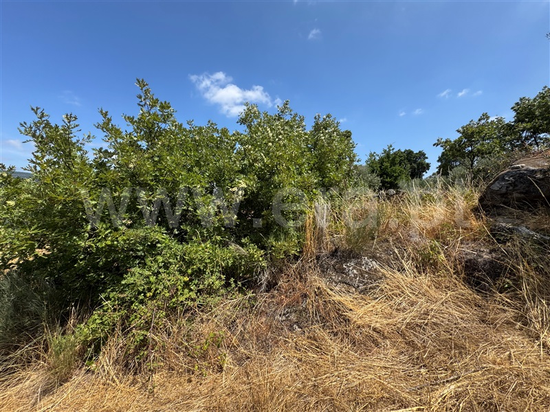 Terreno  Fornos de Algodres, Juncais, Vila Ruiva e Vila Soeiro do Chão - 1507706 - 5