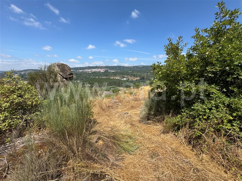 Terreno  Fornos de Algodres, Juncais, Vila Ruiva e Vila Soeiro do Chão - 1507706 - 6