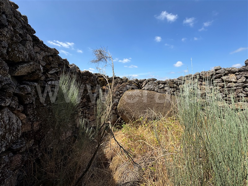 Terreno  Fornos de Algodres, Juncais, Vila Ruiva e Vila Soeiro do Chão - 1507706 - 7