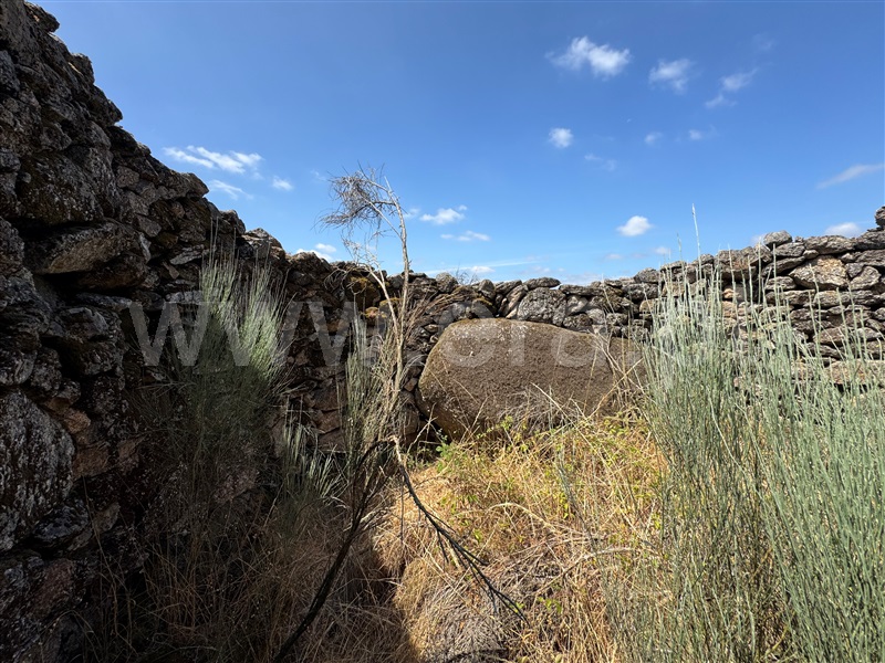 Terreno  Fornos de Algodres, Juncais, Vila Ruiva e Vila Soeiro do Chão - 1507706 - 8