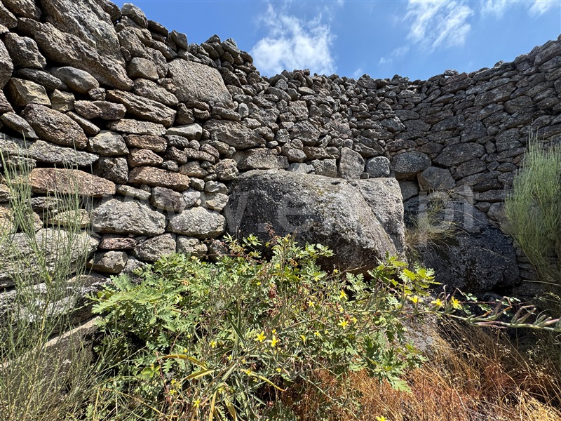 Terreno  Fornos de Algodres, Juncais, Vila Ruiva e Vila Soeiro do Chão - 1507706 - 9