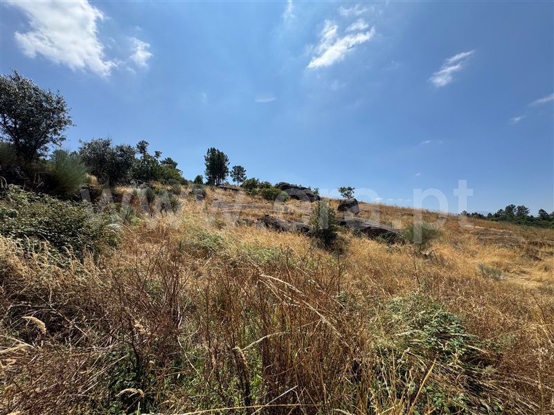 Terreno  Fornos de Algodres, Juncais, Vila Ruiva e Vila Soeiro do Chão - 1507706 - 13