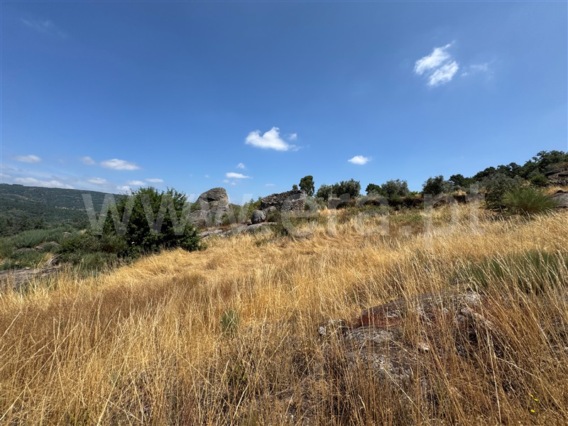 Terreno  Fornos de Algodres, Juncais, Vila Ruiva e Vila Soeiro do Chão - 1507706 - 14