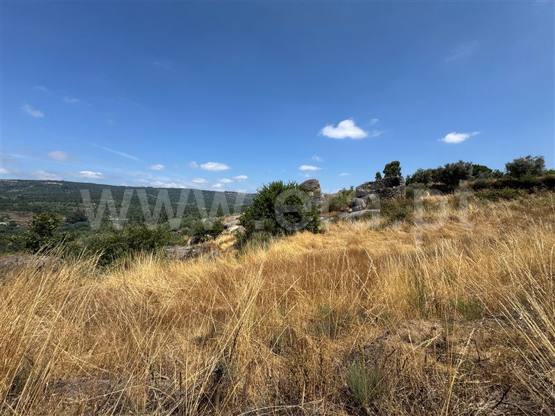 Terreno  Fornos de Algodres, Juncais, Vila Ruiva e Vila Soeiro do Chão - 1507706 - 15