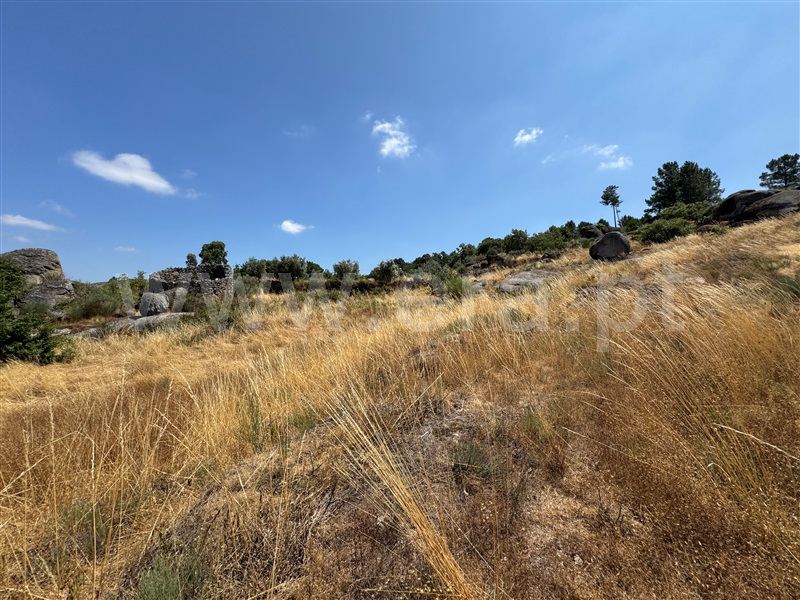 Terreno  Fornos de Algodres, Juncais, Vila Ruiva e Vila Soeiro do Chão - 1507706 - 16