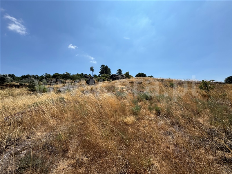 Terreno  Fornos de Algodres, Juncais, Vila Ruiva e Vila Soeiro do Chão - 1507706 - 17