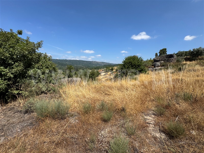 Terreno  Fornos de Algodres, Juncais, Vila Ruiva e Vila Soeiro do Chão - 1507706 - 19