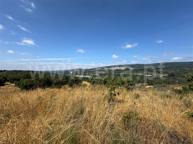 Terreno  Fornos de Algodres, Juncais, Vila Ruiva e Vila Soeiro do Chão - 1507706 - 20