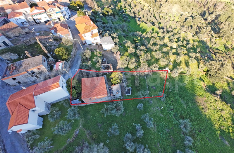Terreno / Fornos de Algodres, Sobral Pichorro e Fuinhas