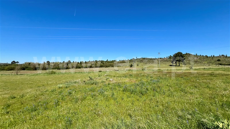 Terreno  Fornos de Algodres, Vila Ruiva - 1477315 - 7