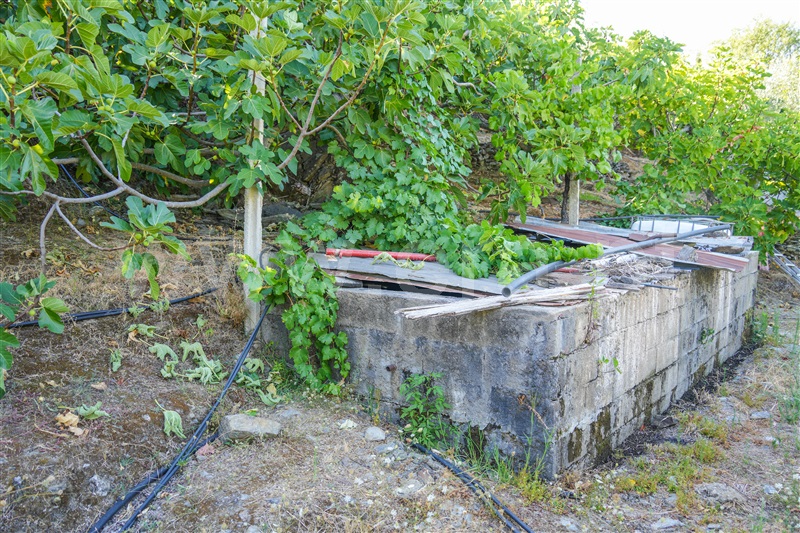 Terreno  Freixo Espada à Cinta, Freixo de Espada à Cinta e Mazouco - 1506618 - 21
