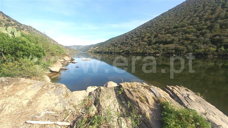 Terreno  Freixo Espada à Cinta, Poiares - 1391187 - 1