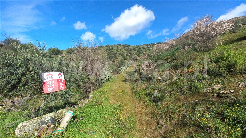 Terreno  Freixo Espada à Cinta, Poiares - 1391187 - 13