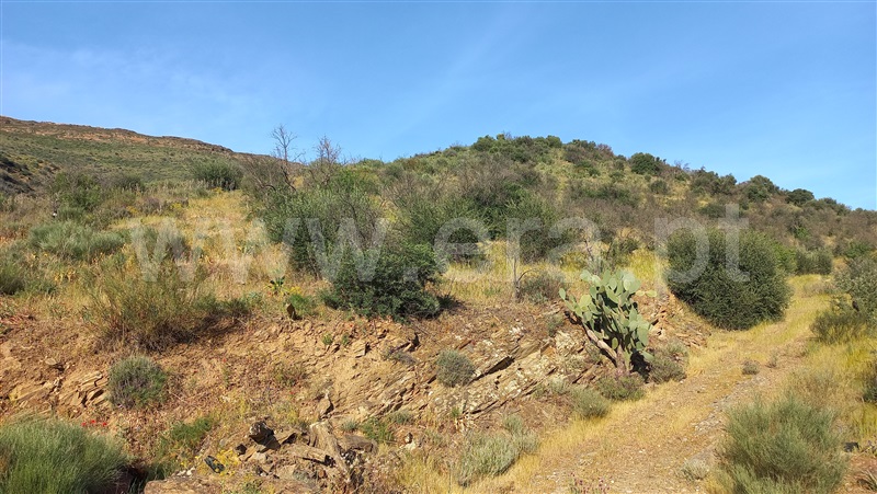 Terreno  Freixo Espada à Cinta, Poiares - 1391187 - 16