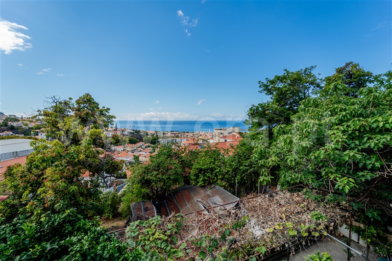 Terreno / Funchal, Funchal (Santa Luzia)
