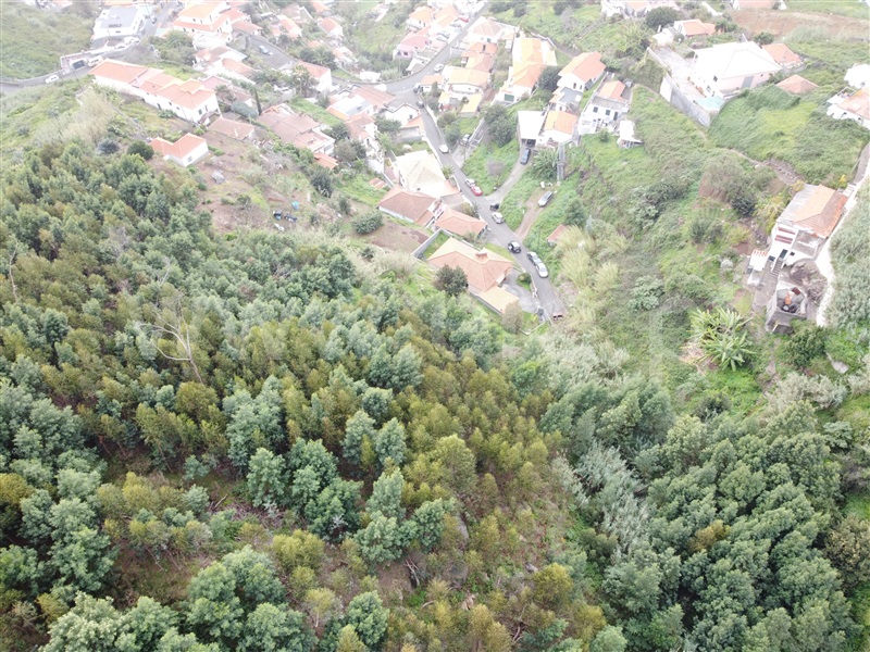Terreno / Funchal, Funchal (Santa Maria Maior)